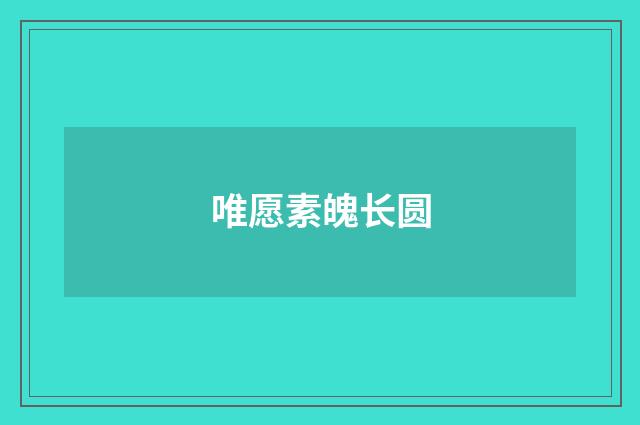 唯愿素魄长圆