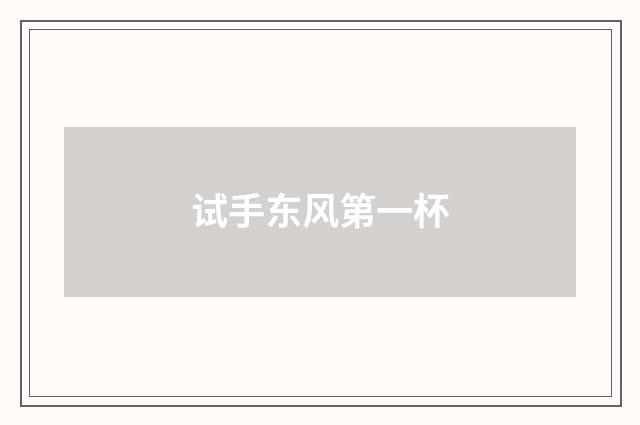 试手东风第一杯