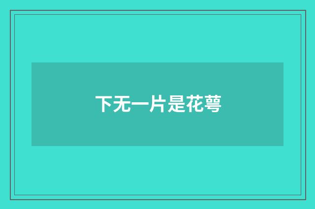 下无一片是花萼