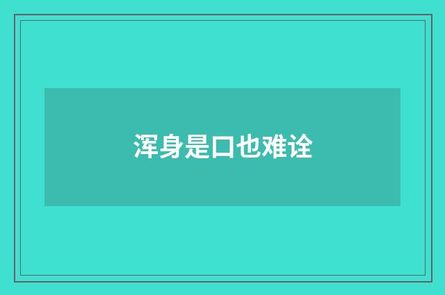 浑身是口也难诠