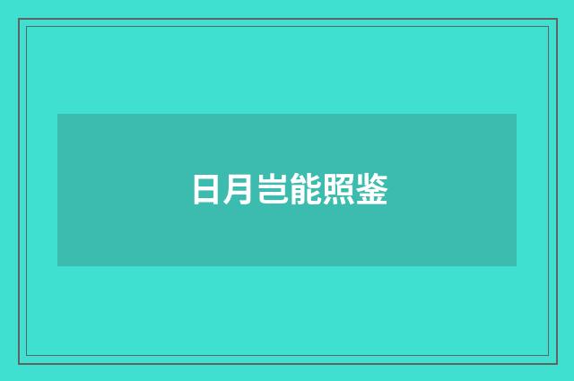 日月岂能照鉴