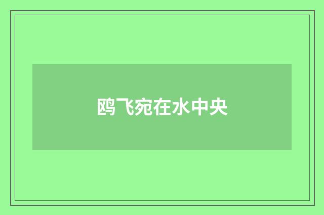 鸥飞宛在水中央