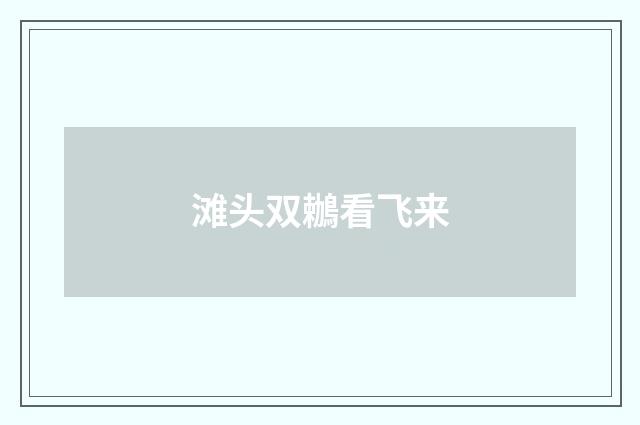 滩头双鶒看飞来