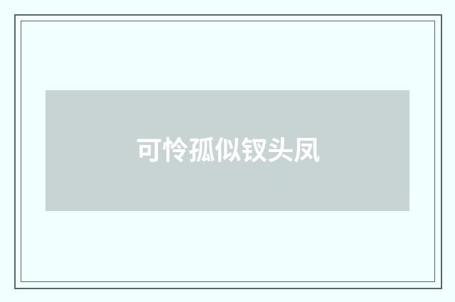 可怜孤似钗头凤