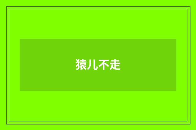 猿儿不走