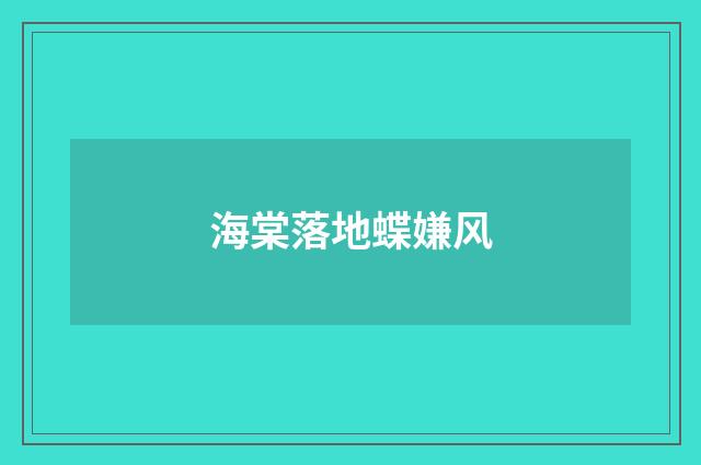 海棠落地蝶嫌风