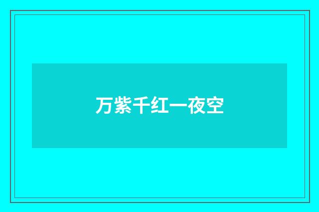 万紫千红一夜空