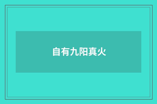 自有九阳真火