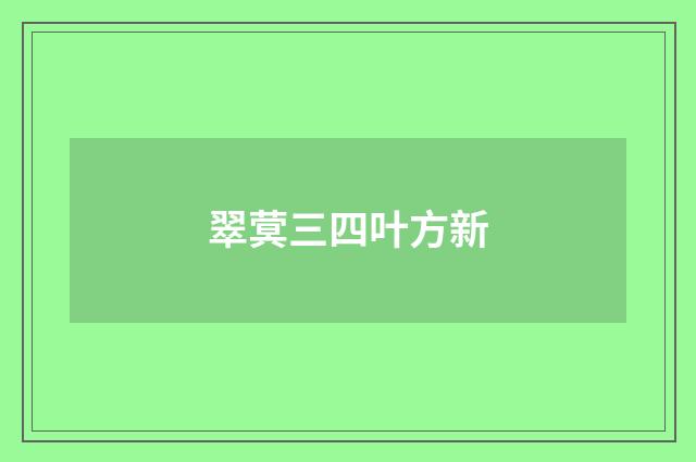 翠蓂三四叶方新