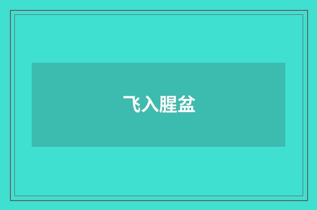 飞入腥盆
