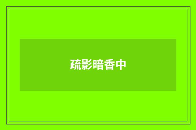 疏影暗香中