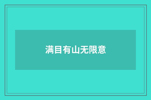 满目有山无限意
