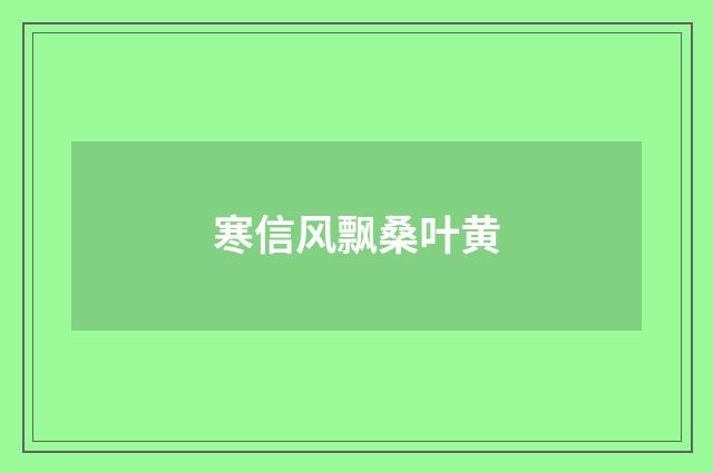 寒信风飘桑叶黄