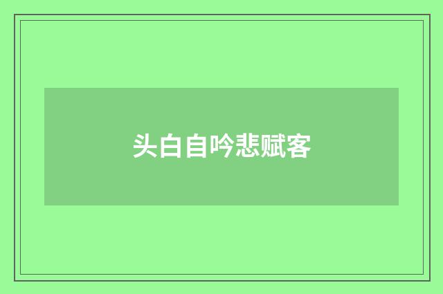 头白自吟悲赋客