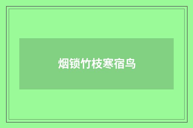 烟锁竹枝寒宿鸟