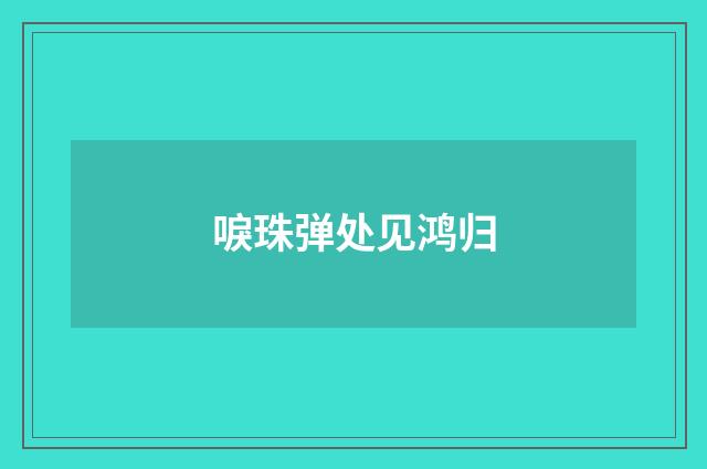 唳珠弹处见鸿归
