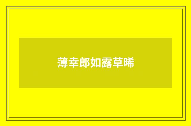 薄幸郎如露草晞