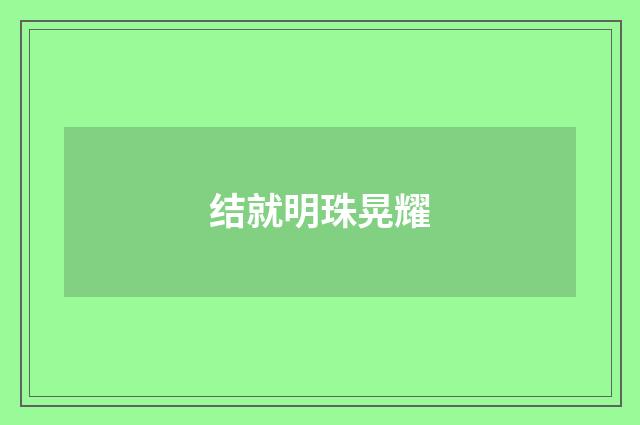 结就明珠晃耀