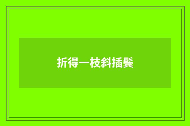 折得一枝斜插鬓