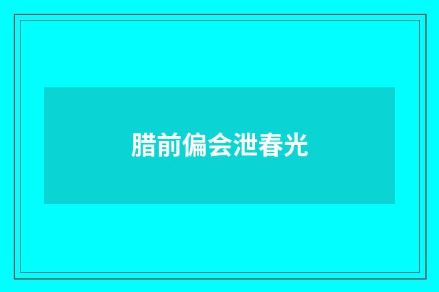 腊前偏会泄春光