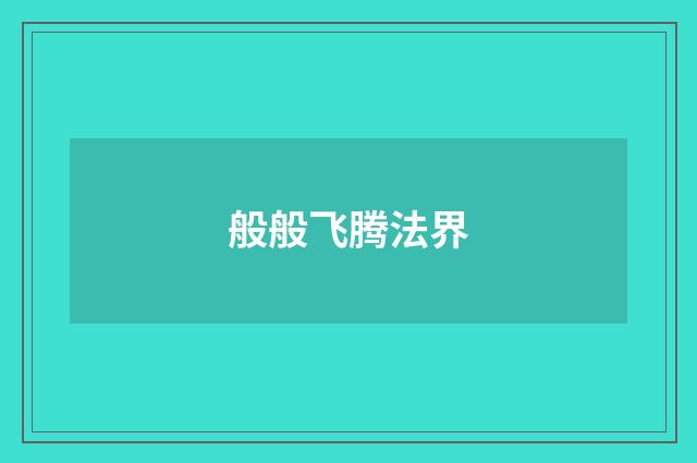 般般飞腾法界