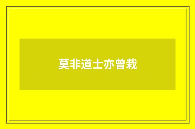 莫非道士亦曾栽