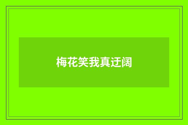 梅花笑我真迂阔