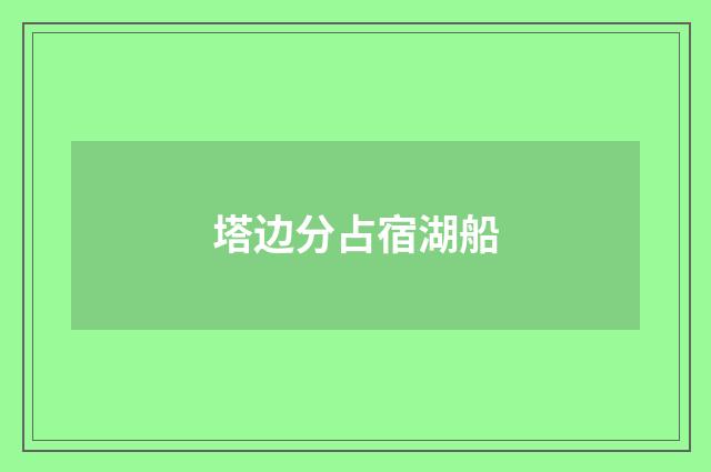 塔边分占宿湖船