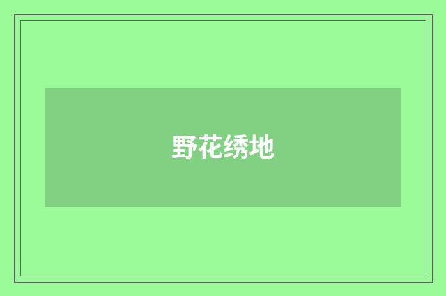 野花绣地