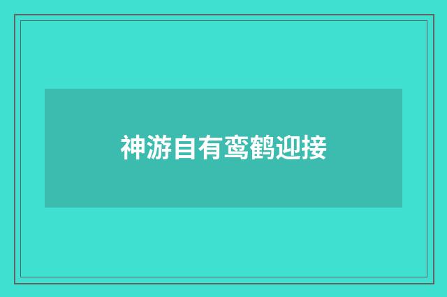 神游自有鸾鹤迎接