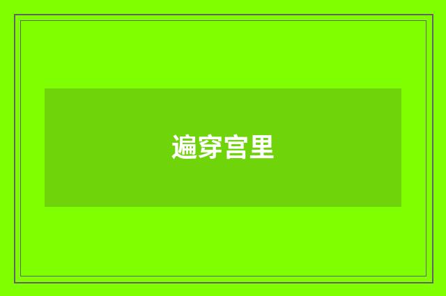 遍穿宫里