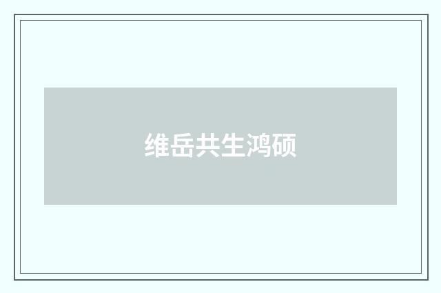 维岳共生鸿硕
