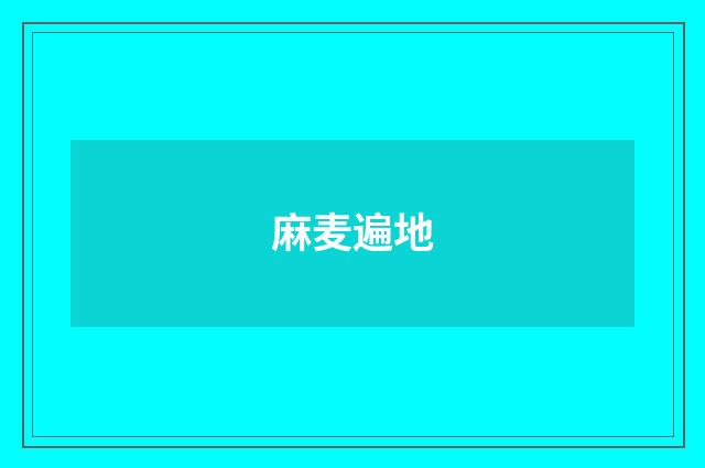 麻麦遍地