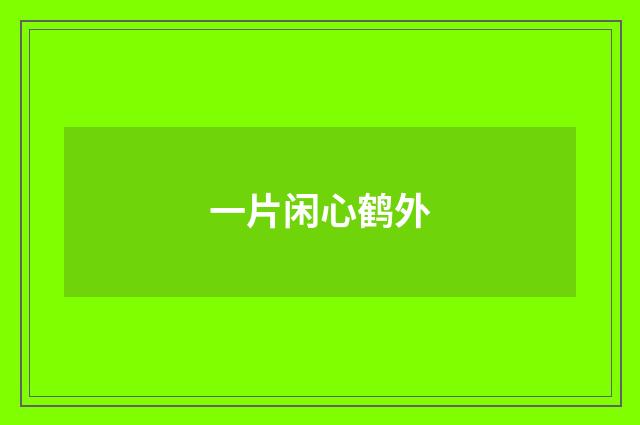 一片闲心鹤外