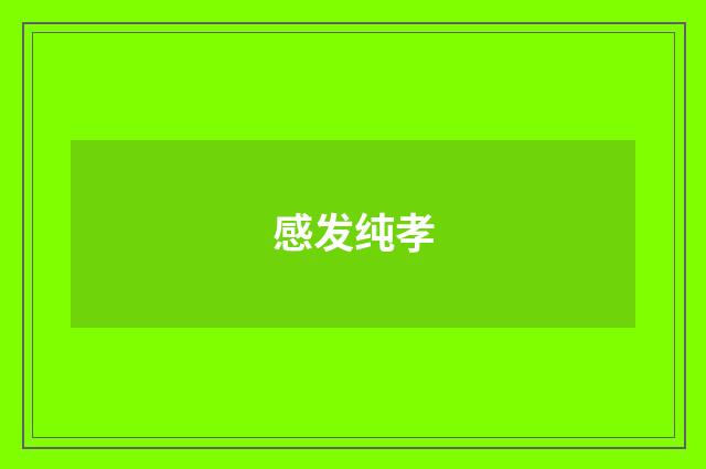 感发纯孝