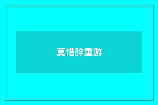莫惜醉重游