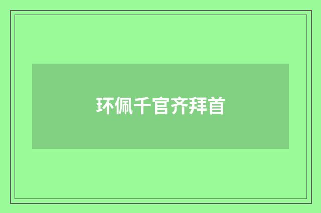 环佩千官齐拜首