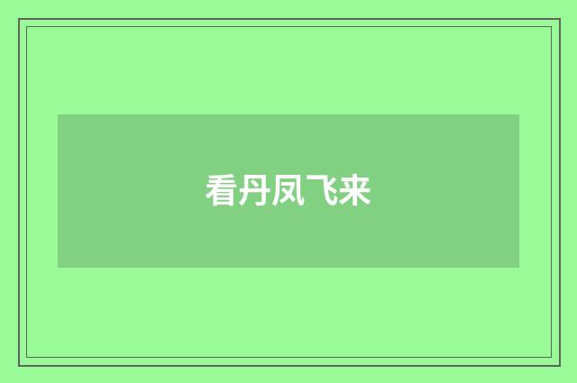 看丹凤飞来
