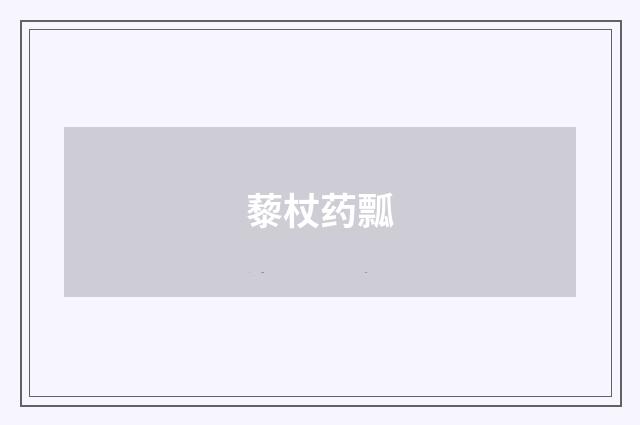 藜杖药瓢