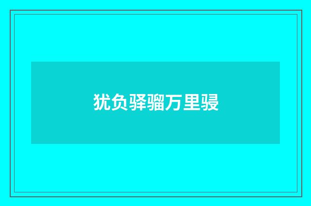 犹负驿骝万里骎