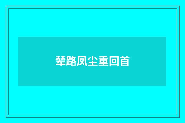 辇路凤尘重回首