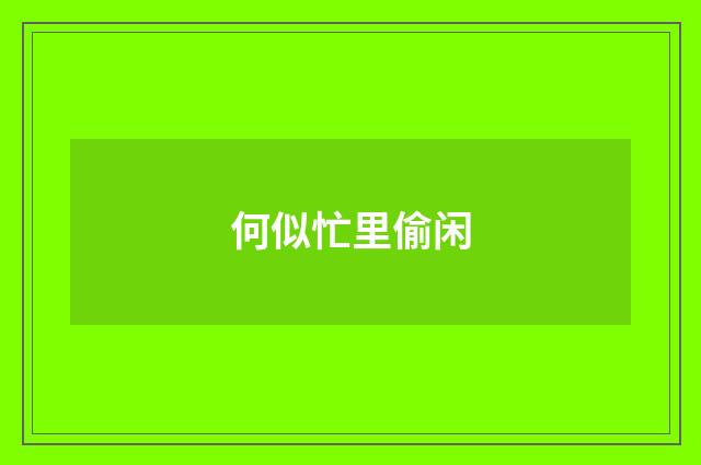 何似忙里偷闲
