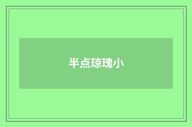 半点琼瑰小