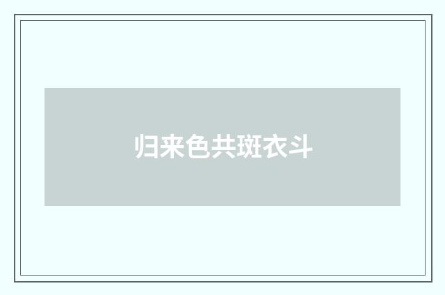 归来色共斑衣斗