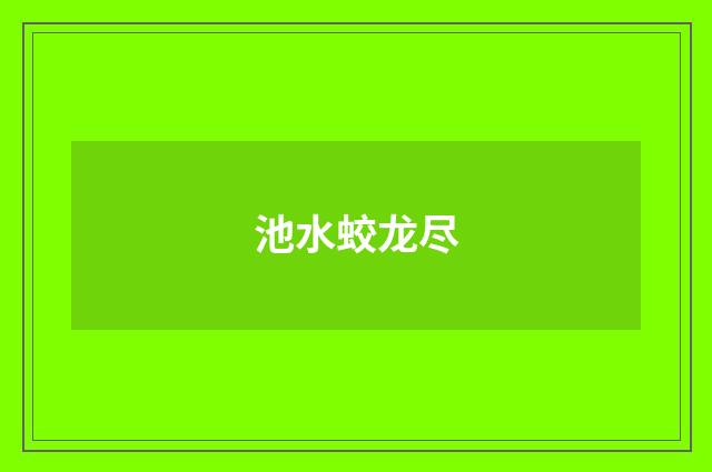 池水蛟龙尽