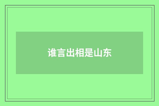 谁言出相是山东