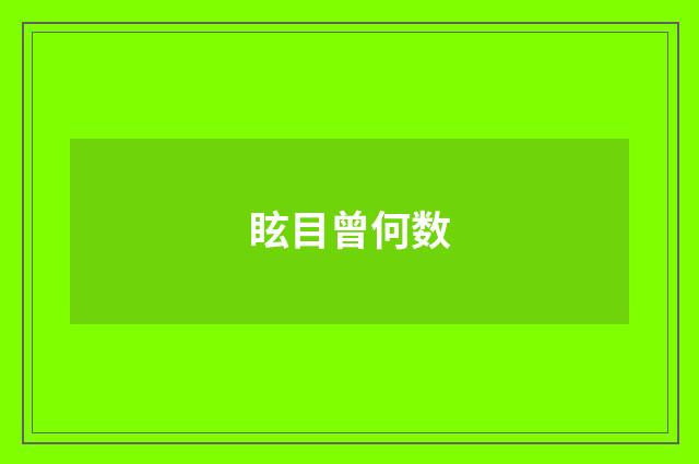 眩目曾何数