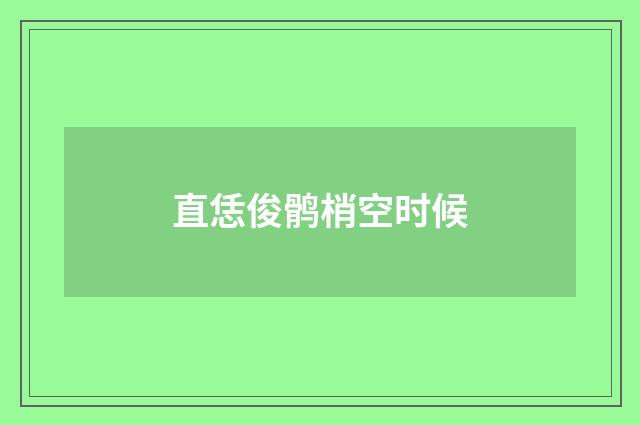 直恁俊鹘梢空时候