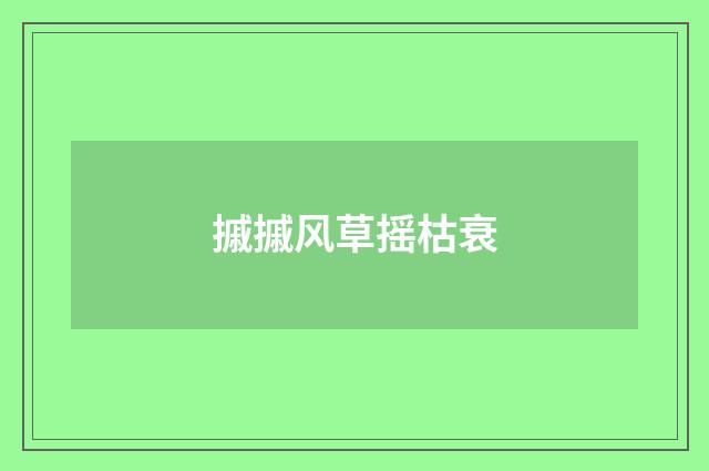 摵摵风草摇枯衰