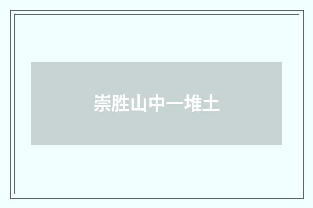 崇胜山中一堆土